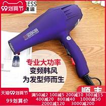 Hair dryer high power home barber shop negative ion hair protection hair dryer hair stylist dedicated hair salon Blower