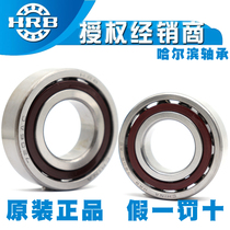 HRB Harbin Angular Contact Ball Pair Bearing 7311 7312 7313 7314 C AC P5 P4
