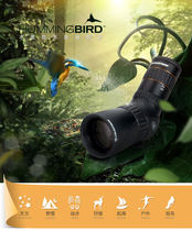 New Star Tran Hummingbird HD high-power large-caliber low-light night vision waterproof monoculars bird-watching mirror