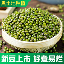 Northeast farmhouse self-planted mung beans 2021 New mung beans 5kg non-genetically modified fresh green beans summer summer heat porridge