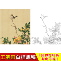 Lang Shinings fine brushwork flower and bird White drawing manuscript fairy calyx Changchun volume yellow Thorn fish Peony Picture Chinese painting copy LT06