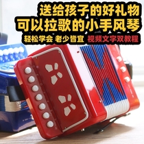 Musical instruments and accordion children suitable for self-study 2-year-old boy toys educational enlightenment small gifts for children