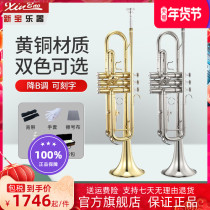 Xingyu trumpet brass trumpet beginner amateur trumpet instrument professional performance B key trumpet TR400
