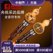Xing language Hulusi musical instrument beginner c downgrade B tone dgf professional performance Primary School students children Hu flagship store