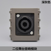 Dark gray multimedia stage speaker Omron studio audio speaker module KTV stage audio socket