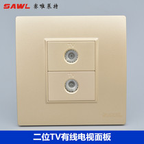 Double TV panel switch socket champagne concealed cable TV closed circuit TV antenna wall socket