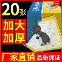 20 pieces of super strong sticky mouse plate nest end one catch and paste glue repellent medicine to kill mouse artifact nemesis household big mouse