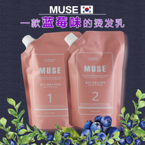 South Korean muse blueberry flavored hair cream hot and hot water curly hair digitally scaly softened paste hairdresse special