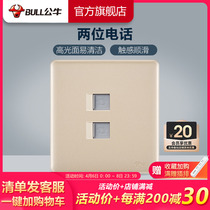 Bull Switch Socket Wall Panel Two phones Two-mouth socket Two phones Two phone sockets G28