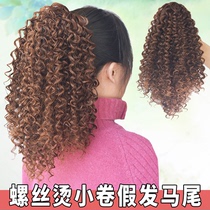 Pony-tailed wig female electric screw roll instant noodles curly hair female simulation hair corn hot wool roll high fake ponytail