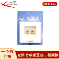Speaker plug socket panel one audio socket wall plug two speaker interface audio socket 86 board