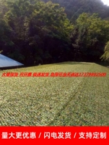 Anti-aerial photography camouflage net anti-counterfeiting net green net sunshade green net interior decoration net illegal building cover net