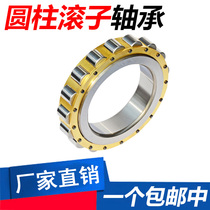 Cylindrical Roller bearing RN305 306 307 308 309 310 311 312 328M