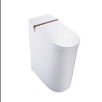 Jiumu high-end smart toilet D6801