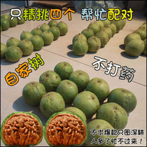  Authentic Laishui Wen play walnut gambling green skin green fruit hemp walnut official hat four buildings white lion grinding plate toad head