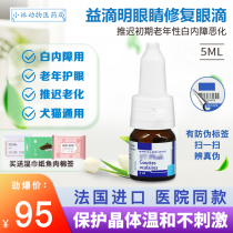 Vic Taphak pet dog cat early senile cataract eye aging cornea care eye drops