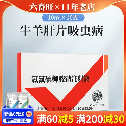 Китайский животноводческий ветеринар хлорбил йодинового амина инъекция натрия Жидковика -зверя использовал говяжьи овцы с насекомыми -экологически чистыми вредителями гепатита и насекомых -вредителей