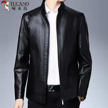 Woodpecker Spring and Autumn Soft Leather Mens Leather for Middle-aged and Elderly Dad Plus Velvet Pinch Collar Sheep Jacket