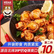 Northeast Quails shop Mr. Beaver scallop meat open bag instant snack spicy shell seafood snack