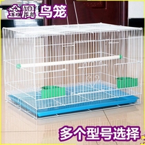 Metal bird cage Metal pigeon Parrot Rabbit Ten sisters Wen Bird Starling Thrush Turtledove Bamboo chicken bird breeding cage