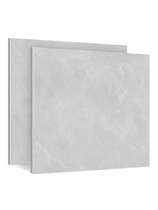 (Deposit 100 yuan) Dongpeng Jing Li Shi 802555