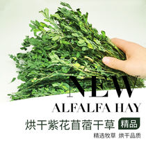 21 years of drying Alfalfa Hay Hay rabbit hay rabbit grain Chinchilla pig Hay young rabbit food fine alfalfa