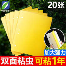 Yellow board double-sided armyworm board trap blue board paper paste yellow flying insect small black fly stick fruit fly trap sticky board greenhouse