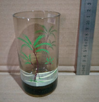 Nostalgic old stock 90s Brown decal glass props collection