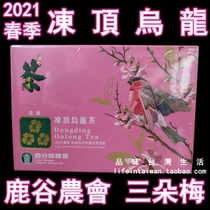 Lugu Township Farmers in 2021 spring three plum blossoms 600 grams Taiwan mountain competition Tea Tea frozen top oolong