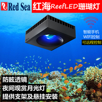 Israel Red Sea REDSEA professional seawater coral sps intelligent sea cylinder light Reef LED 50 90 160W