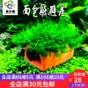 Товары от 鱼之城水族