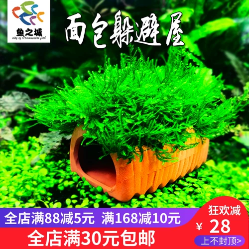 Моза хлеб -хаус дом рыбацкий бак рыбная вода Lazy Plant Plant Fish Shrimps Doisolment House Креветки Дом маленький маленький маленький