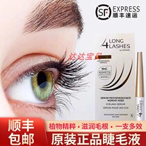 Polish AA small gold pen mascara with feminine dense slim slim length solid roll eyelash mascara L4L eyelash theiner