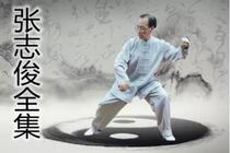 Zhang Zhijun Chens Tai Chi Chuan New Frame One Road New Frame Two Road Push Hand Grappling Wrestling Teaching Video Encyclopedia