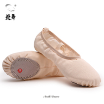 North dance shoes Childrens girls soft bottom practice shoes cat claw shoes no lace-up male body ballet camel dance shoes
