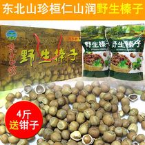Gift box Huanren specialty 2020 newly fried wild mountain hazelnuts hand pat open 4 pounds 