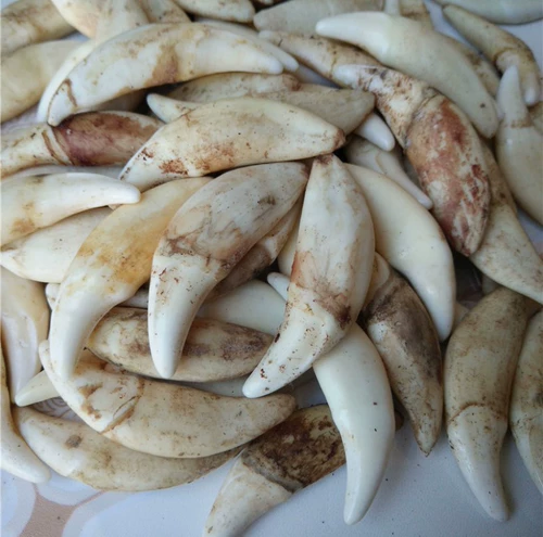 Подвеска, браслет, детский аксессуар подходит для мужчин и женщин, год кролика