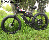 26 inch snowmobile 1500W motor speed aluminum alloy snowmobile power assisted electric 48V1000W motor customized