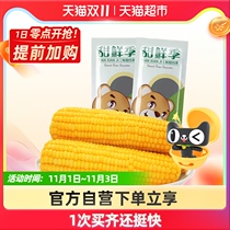 Sweet fresh season yellow glutinous corn 6 sticks northeast glutinous corn vacuum packaging fresh sweet soft waxy