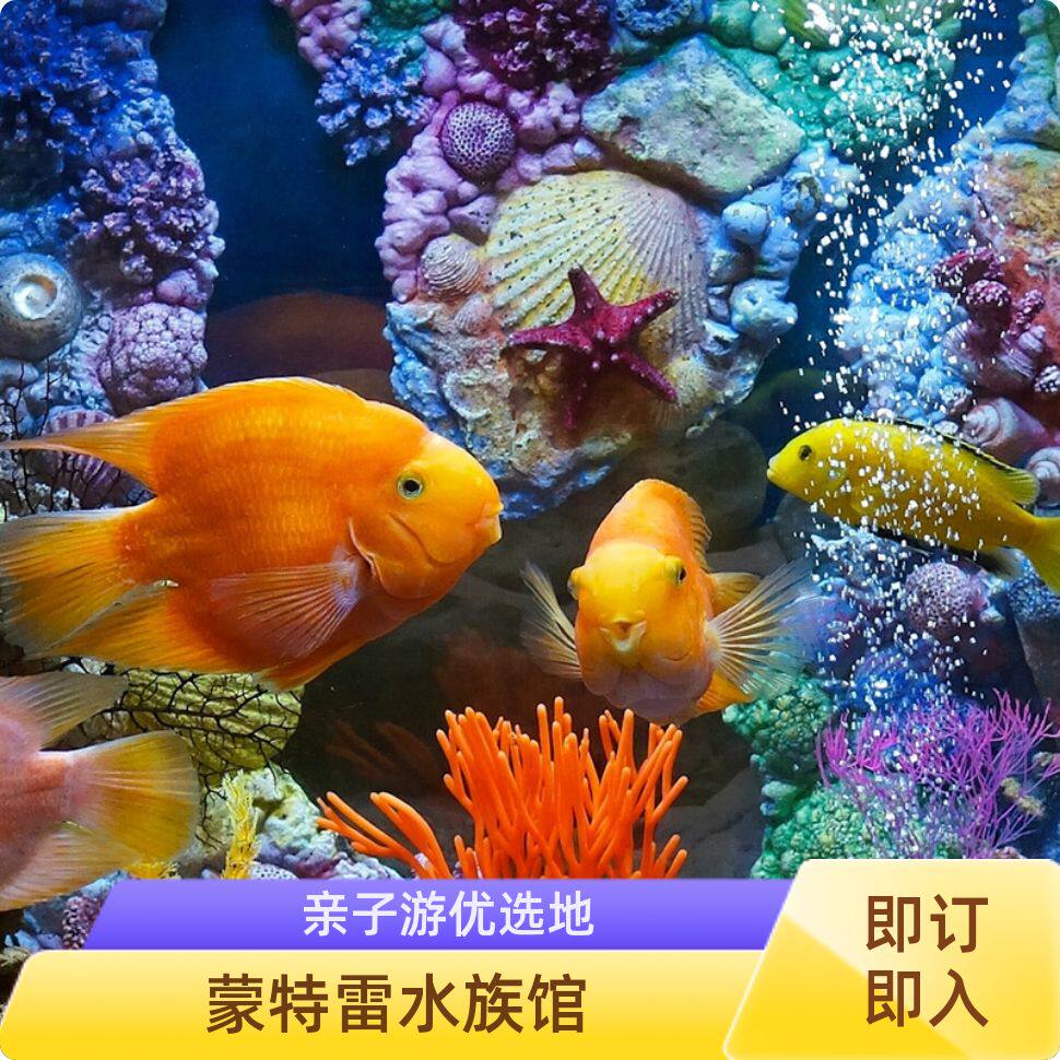 去印度旅游墨西哥跟团游途中别错过蒙特利湾水族馆-旅游-淘宝好物网
