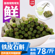 Haiyu Dendrobium Yueqing Yandang Mountain Non-Huoshan Fresh Dendrobium candidum 500g
