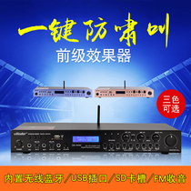 DS-8082 household professional reverberator KTV stage audio microphone anti-howling pre-stage effect karaoke machine