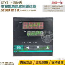 STYB upper pass meter ST509 R11 K control output REALY relay Other specifications are available