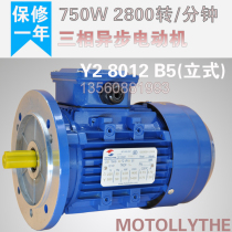 MOTOLLYTHE YS8012 three-phase asynchronous motor 750w 2800rpm aluminum shell all-copper motor linkage