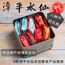 Zhangping narcissus tea try to drink Oolong mix and match combination authentic new tea sample small jar gift box bulk