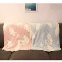 Day Series Pets All Season Blankets Cat Coral Suede Blanket Son Dogs Sleeping Small Blankets Dog Mat Office Air Conditioning Blanket