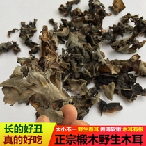 Black fungus dry goods 500g super wild wild basswood hairy fungus Hubei specialty large piece thin spring ear soft waxy mountain fungus