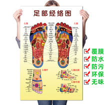 Foot reflection zone wall chart foot foot massage health care Pedicure Foot Bath cupping moxibustion Meridian acupoint illustration poster