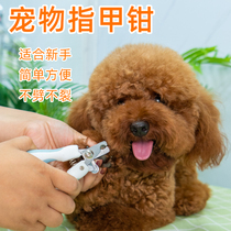 Pet nail clippers dog cat nail clippers with file