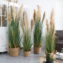 Simulation of natural net red big reed grass potted plant original ecological dried flowers landing green plant shopping mall shop interior layout landscaping